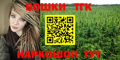прущие грибы Кандалакша