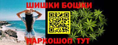 прущие грибы Кандалакша