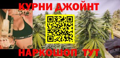 прущие грибы Кандалакша